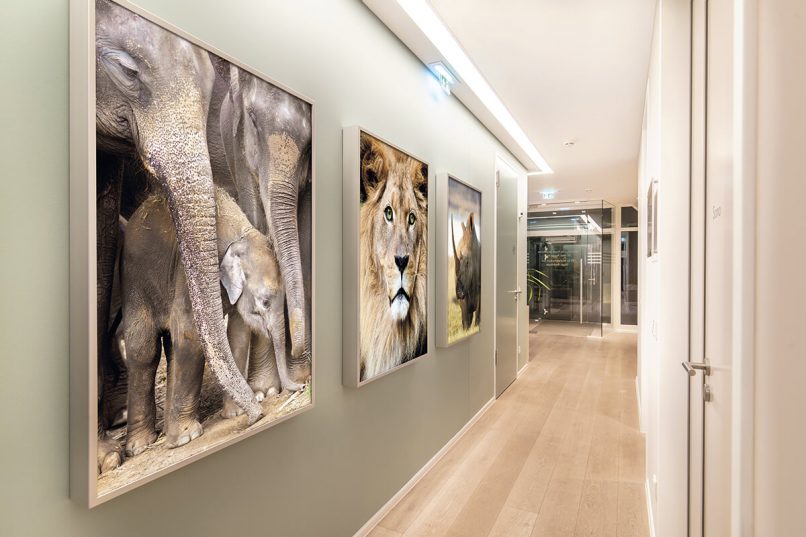 Innenarchitektur: Praxis für Radiologie und Nuklearmedizin 08